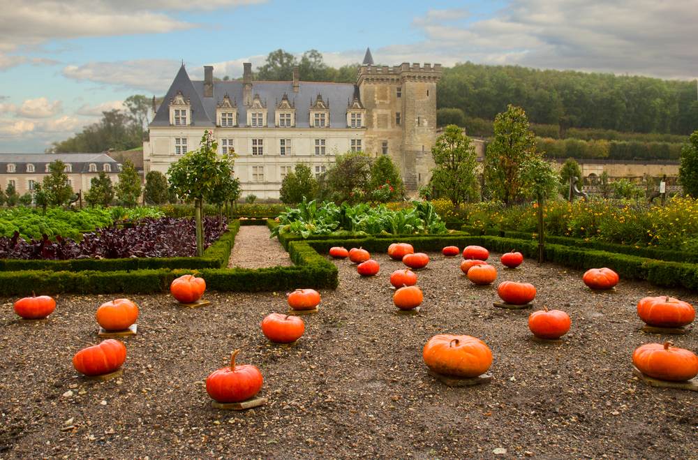 loire castle and pumpkins