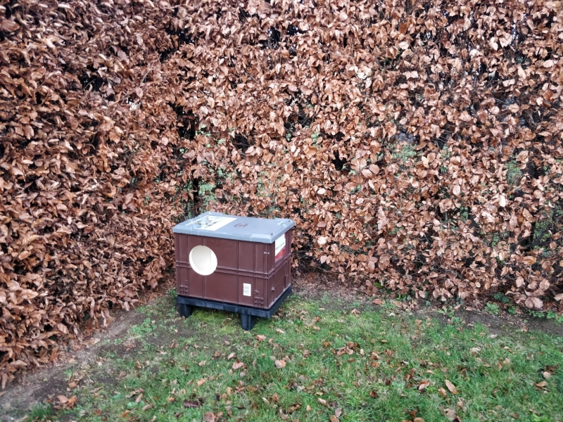 Stray cats shelter in Leuven