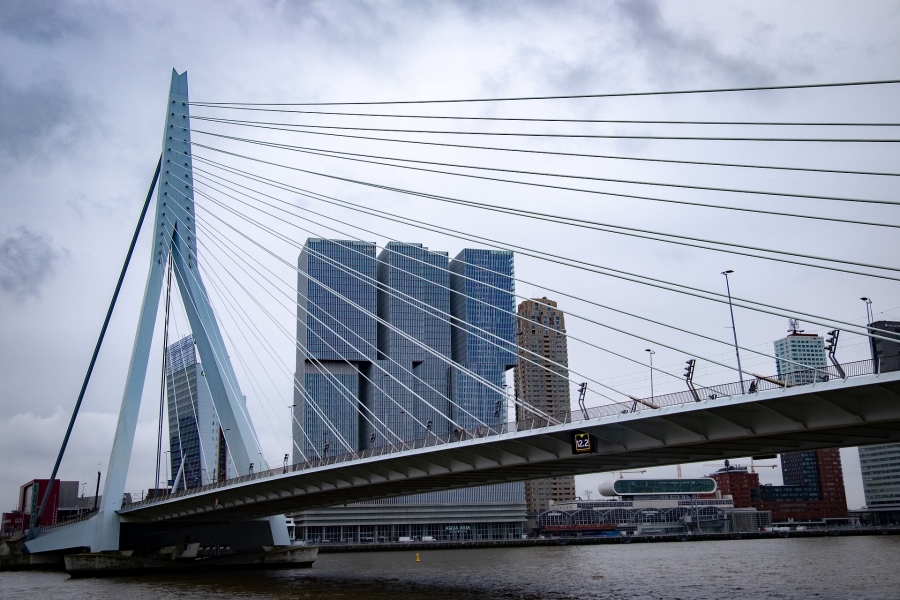Erasmus bridge Rotterdam