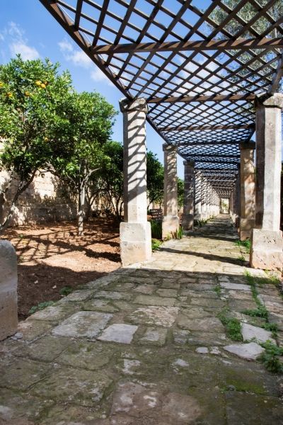 Optimized sir alexander ball s garden