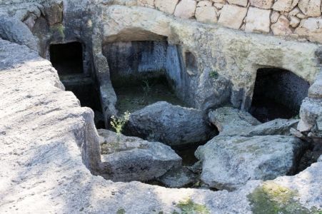 Optimized xarolla catacombs