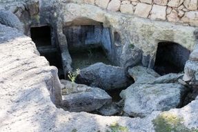 Biggest thumb optimized xarolla catacombs
