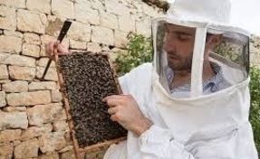 Biggest thumb bee keeper