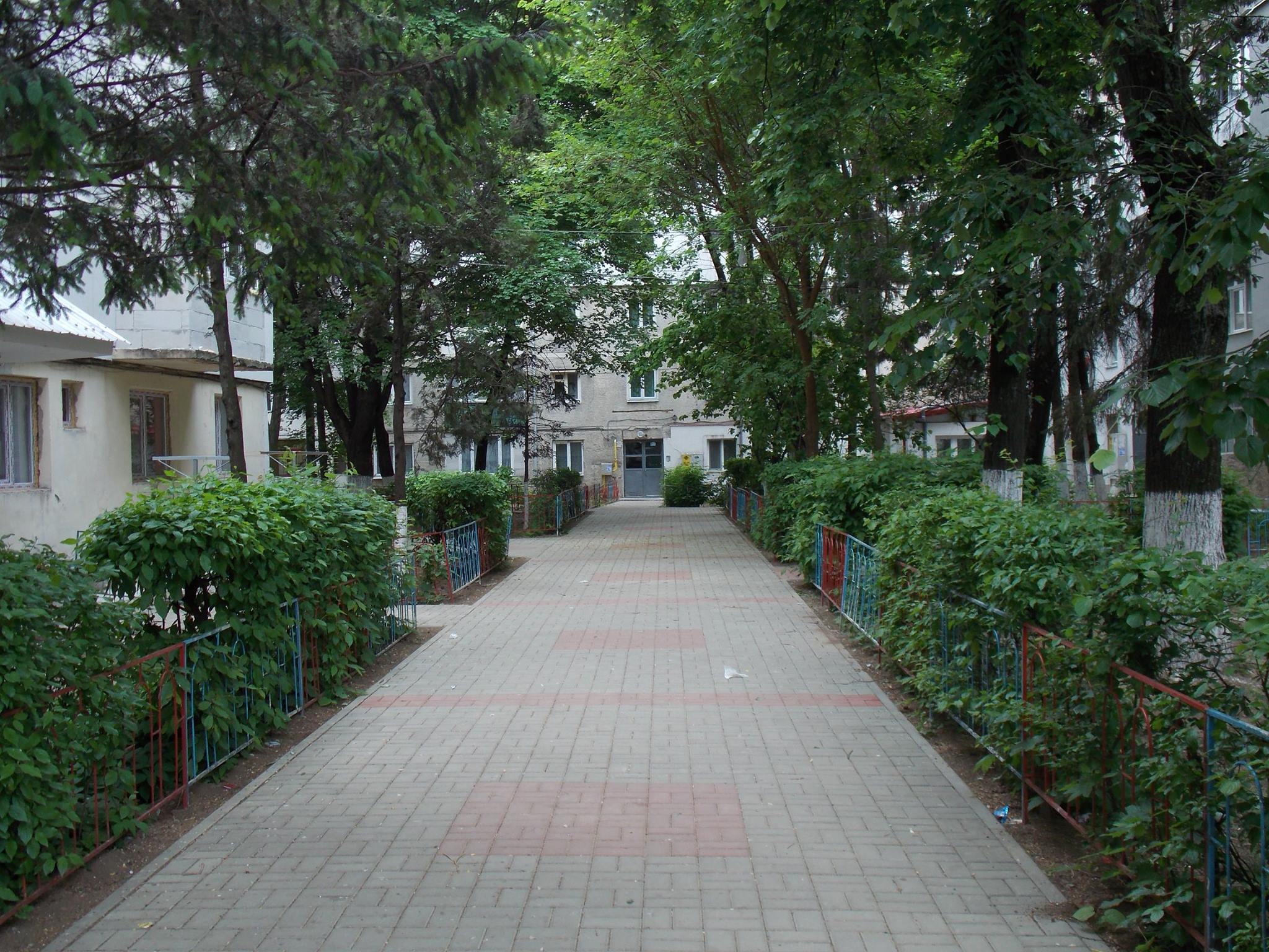 Botosani1