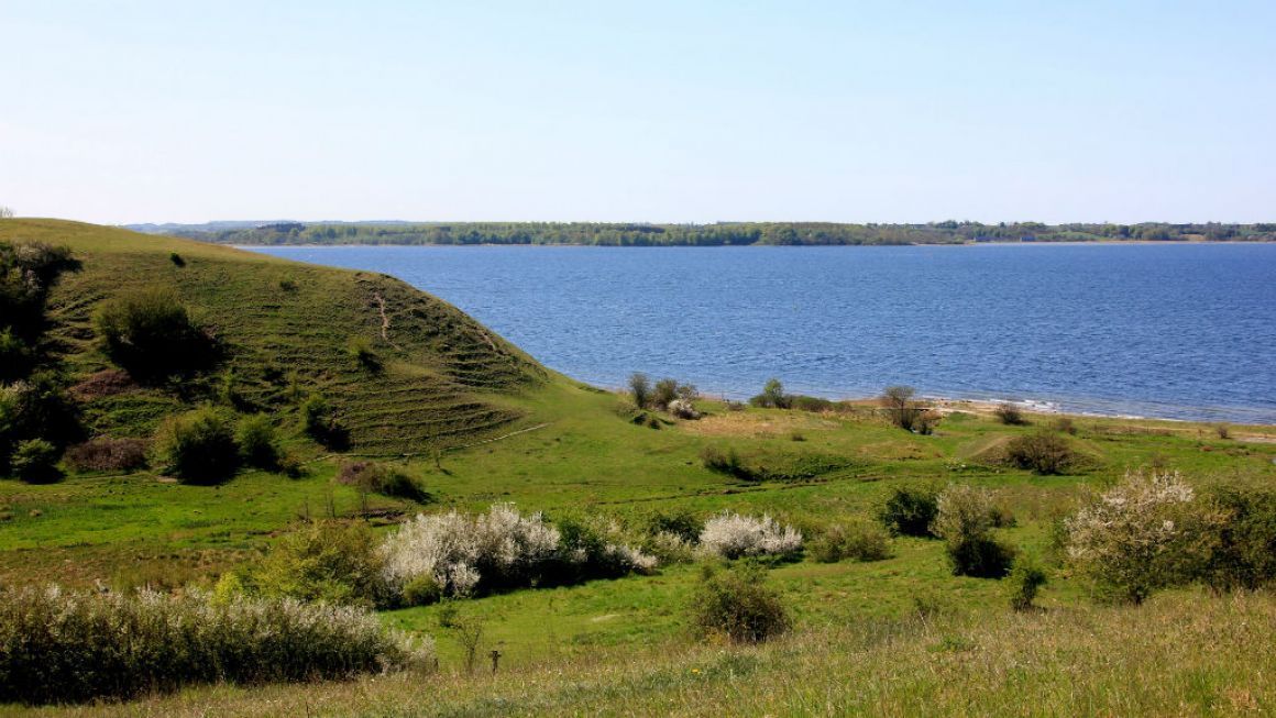 Skjoldungernesland