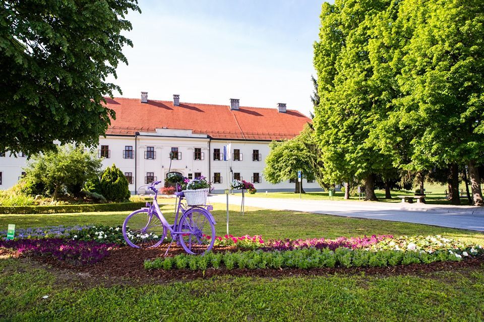 Slavonskibrod1
