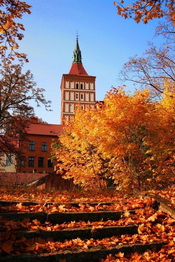 Optimized autumn olsztyn