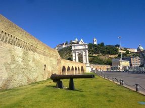 Biggest thumb ancona3