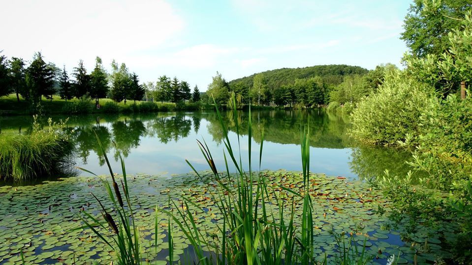 Trebnje2