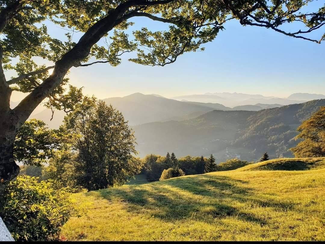Hrastnik2