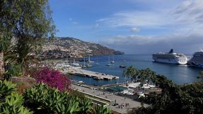 Biggest thumb funchal2