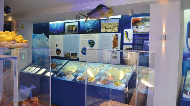 Dwejra marine environmental education centre 1