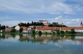 Biggest thumb ptuj