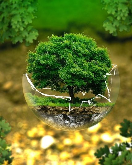 New funding under life programme