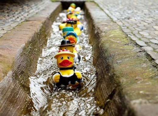 charity rubber ducks