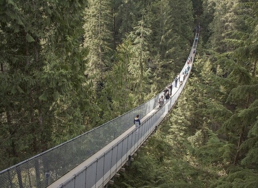 Medium capilano suspension bridge 1393076 1280