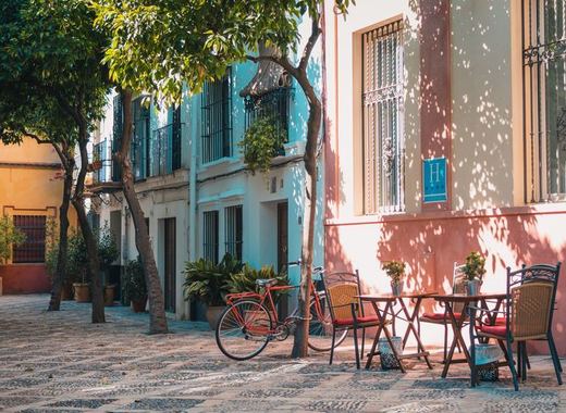 Medium sevilla
