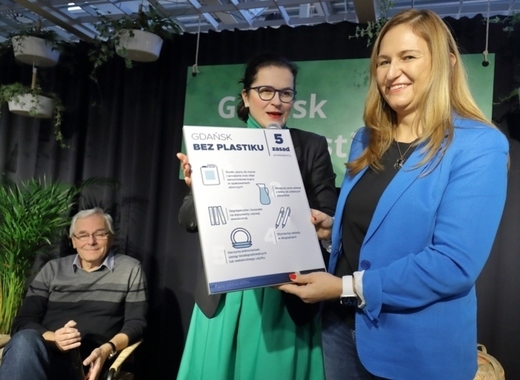 Medium gdansk without plastic