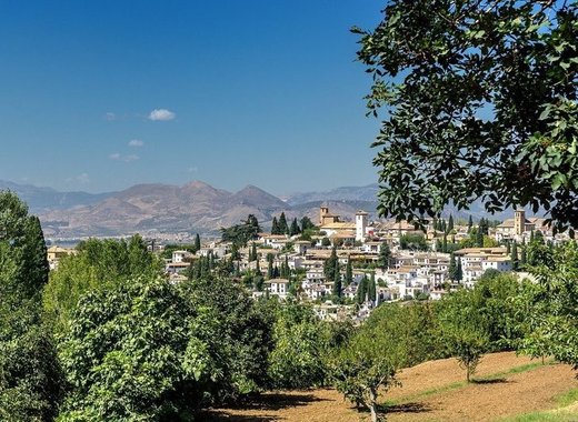 Medium andalusia an innovator in the olive oil industry 2