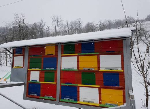 Medium slovenia increasing the bee population in lasko darja %c5%a0olar