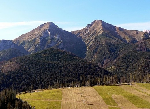Medium saving our forests the case of spi%c5%a1sk%c3%a1 bel%c3%a1 in slovakia