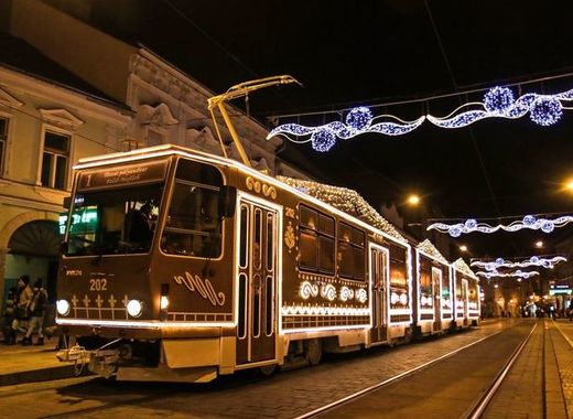 Medium gingerbread tram
