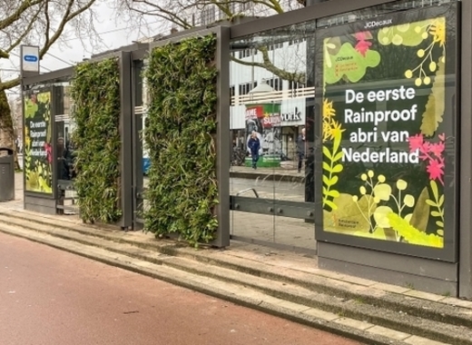 Medium green stops amsterdam