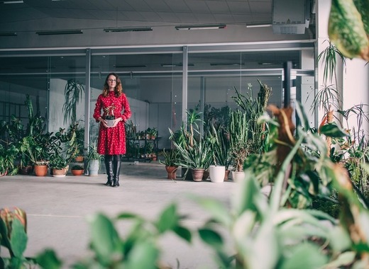 Medium plantarium kaunas
