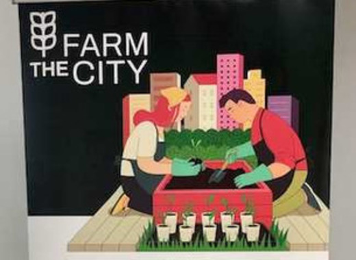 Medium farm the city 3