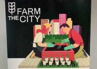 Thumb farm the city 3