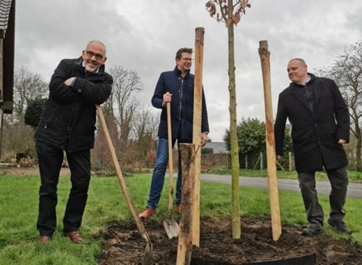 Beringen signs the tree charter and commits to planting 1200 climate trees - TheMayor.EU