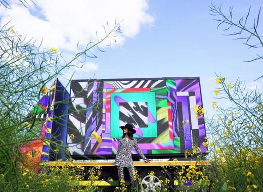 Medium fingal art installation