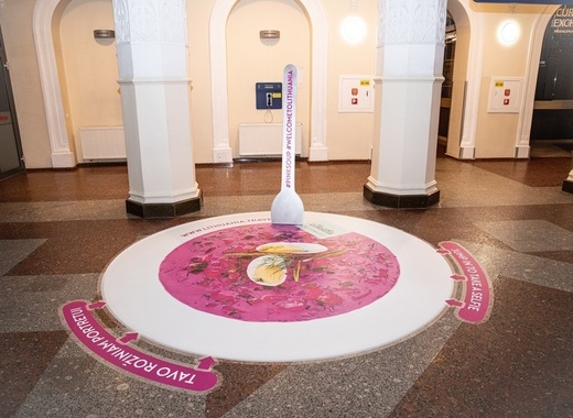 Medium vilnius pink soup