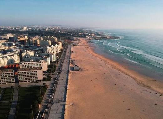 Medium matosinhos