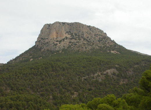 Medium sierra espuna