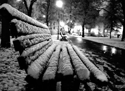 Medium winter 610615 1920