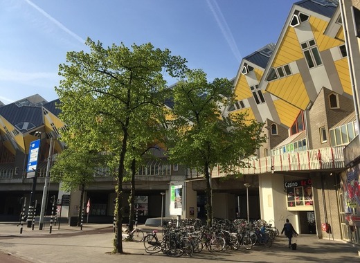 Medium rotterdam 2732862 1920