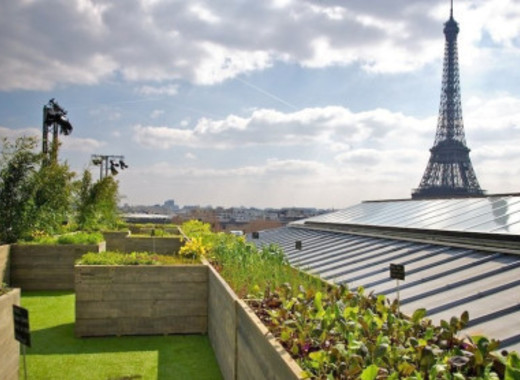 Medium toit parisvegetal