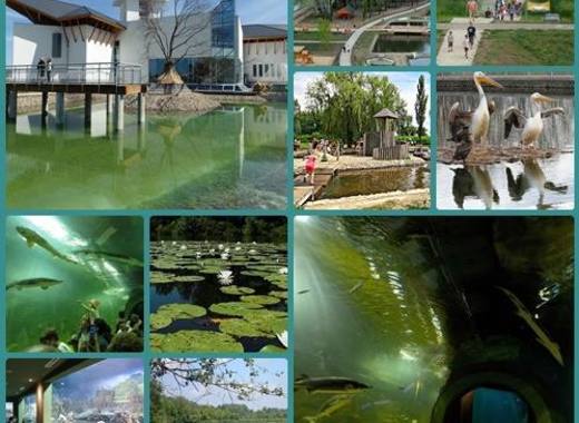 Medium lake tisza ecocentre