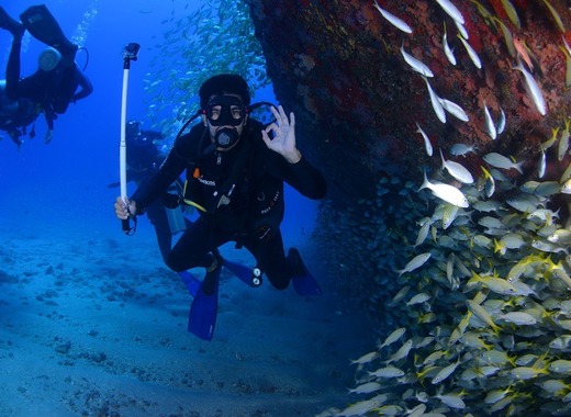 Medium dive 1849534 960 720