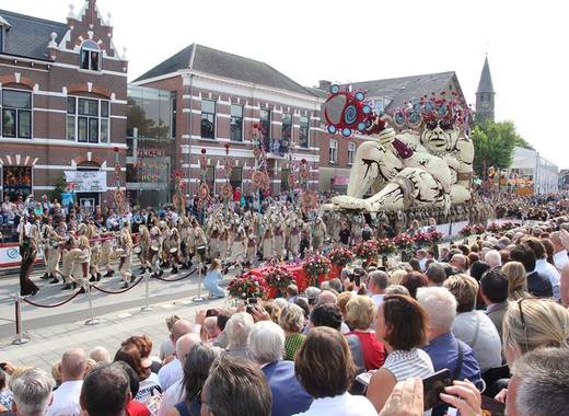 Medium corso zundert..