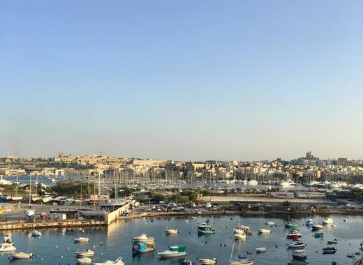 Medium valletta