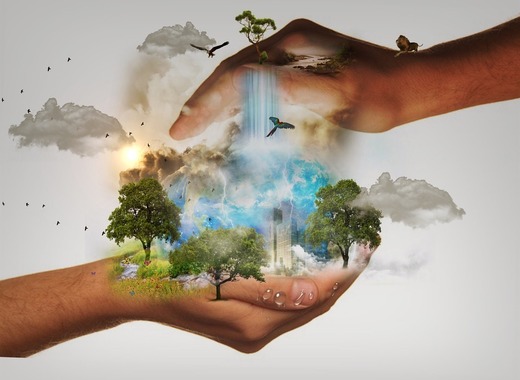 Medium nature conservation 480985 960 720