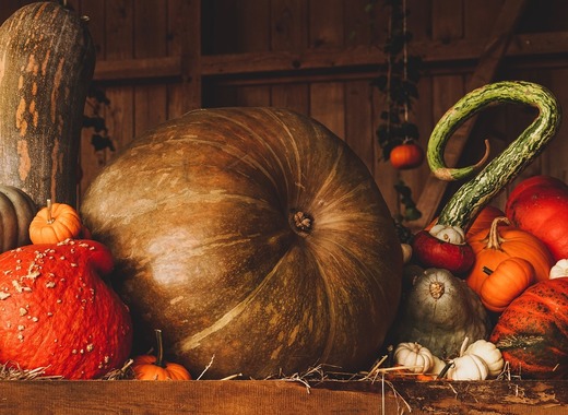 Medium still life 3698130 1280