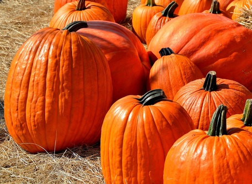 Medium pumpkins 1572864 1280