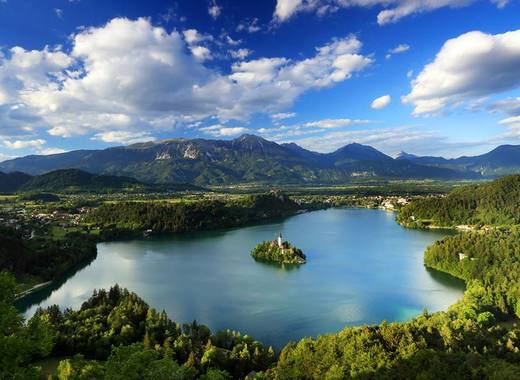 Medium select slovenia