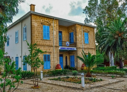 Medium cyprus