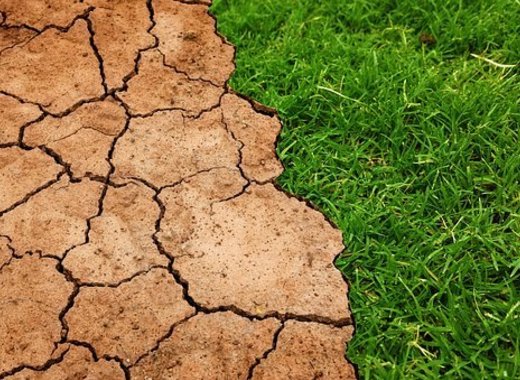 Medium climatechange