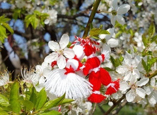 Medium martenitsa