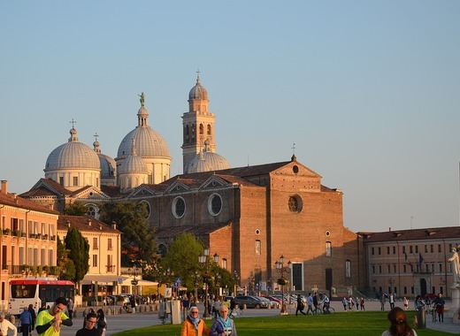 Medium padua
